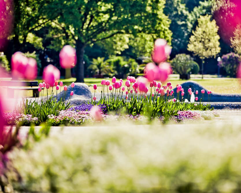 Appartementhaus Berlin in Bad Füssing - Foto im Kurpark von Tulpen und anderen Blumen